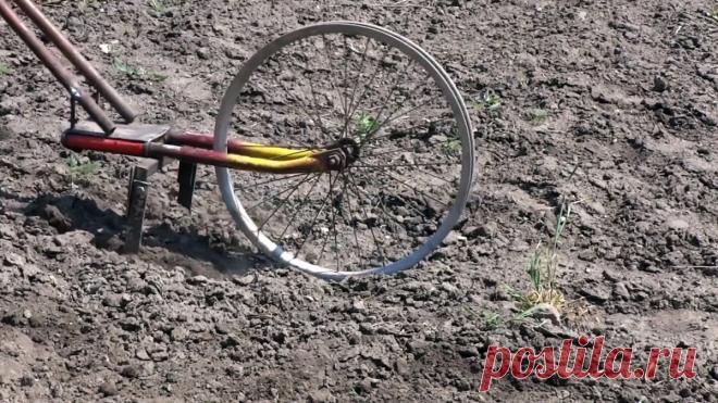 Как на базе старого велосипеда сделать культиватор для прополки Для ухода за посадками картофеля, томатов, лука и прочих овощей можно сделать ручной культиватор. Он рыхлит и пропалывает междурядья от сорняков в разы быстрее, чем это можно сделать тяпкой. Пожертвовав для его изготовления старым велосипедом, собрать ручной культиватор можно буквально за пару