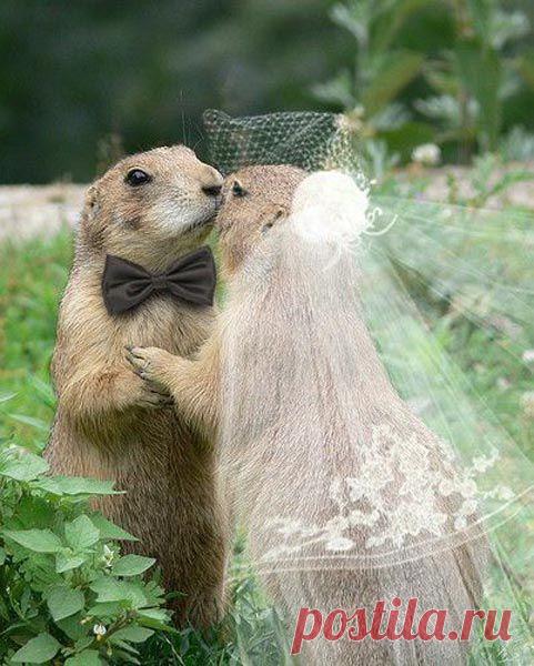 Не бойся! Я с тобой!