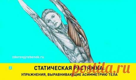 Статическая растяжка: Упражнения, выравнивающие асимметрию тела Статическая растяжка: Упражнения, выравнивающие асимметрию тела.Этот комплекс относится к простейшему способу омоложения. Суть