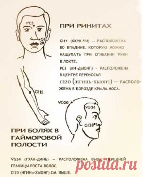Целебные свойства бальзама «Звездочка»
Не многие знают, что в состав этой чудодейственной мази входит 4 вида натуральных масел: гвоздичное, коричное, мятное и эвкалиптовое. При насморке принято натирать «Звездочкой» под носом, при головной боли — наносить на виски, при комариных укусах, сопровождающихся неприятным зудом, – несколько раз в день мазать кожу для скорейшего заживления и снятия неприятных ощущений.