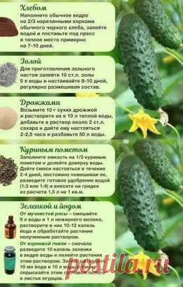 1 непрочитанный чат