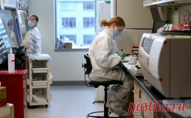 Ученые сравнили «Спутник V» и Pfizer по выработке антител к «омикрону». Привившиеся «Спутником V» развивали более чем в два раза больше антител к «омикрону», чем вакцинированные Pfizer, свидетельствуют результаты российско-итальянского исследования