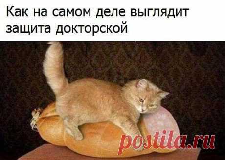 (114) Pinterest