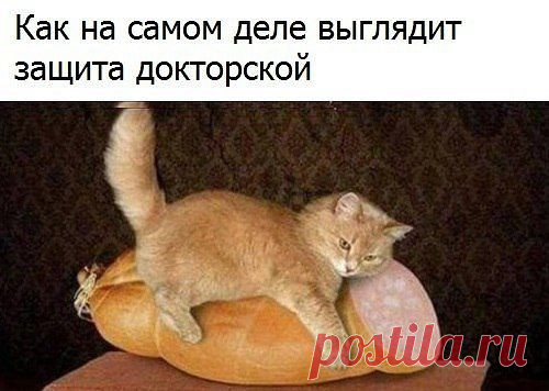 (114) Pinterest