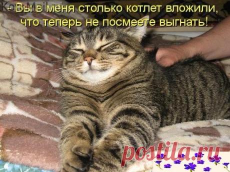 Хорошо! | KotoMail.ru