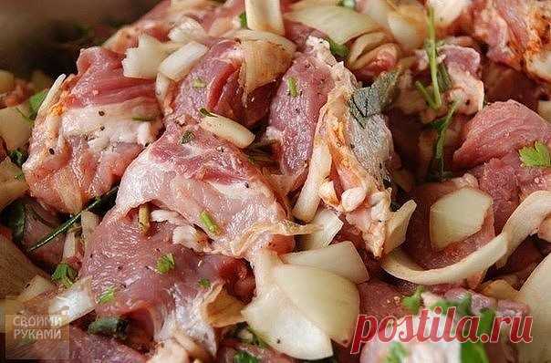 8 маринадов для шашлыка 

Активное время готовки 20 мин. + время на маринование мяса 

Шашлык в майонезе 
Чтобы мясо получилось на удивление нежным и сочным, а шашлык полностью оправдал ваши ожидания, попробуйте замариновать его в майонезе. Майонезный маринад не дает мясу подсыхать во время приготовления, и оно получается сочным. 
На 1 килограмм мяса нужно 500 гр. майонеза. Мясо посолить, поперчить. Лук (0,5 кг) нарезать кольцами, добавить майонез и все перемешать. Постави...