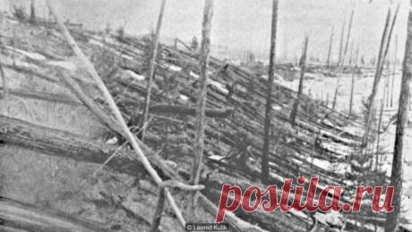 Что же произошло сто лет назад в Сибири, над Тунгуской? | Наука и жизнь