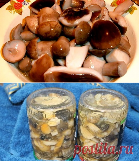 Одноклассники