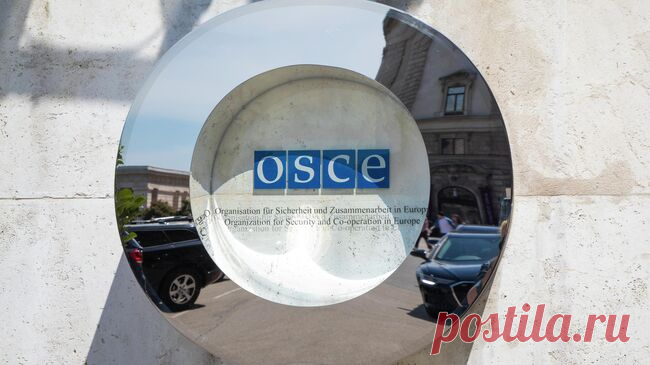 Глава МИД ПМР призвал ОБСЕ отреагировать на дискриминацию приднестровцев