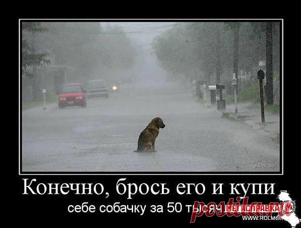 чувство меры изменяет человеку...