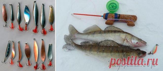 Самые уловистые зимние блесны на судака