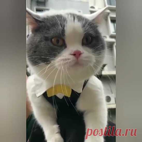Всё сказал!