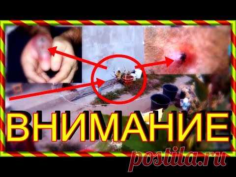 Приятного просмотра нового видео ролика:
Страшный паук пчела по имени Аргиопа Брюнниха
https://www.youtube.com/watch?v=r5v9YAQZNSc

Мы опять обнаружили огромного, страшного паука с раскраской пчелы. Имя такого страшного паука Аргиопа Брюнниха
Ключевые слова этого видео: страшный паук, паук, паук пчела, паук Аргиопа Брюнниха, Аргиопа Брюнниха