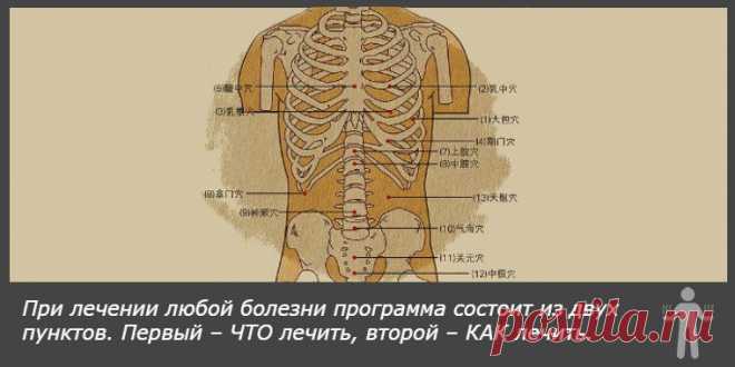 Если В Организме Нет «Трёх Загрязнений», То Нет Места Болезням