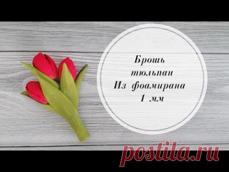 тюльпан