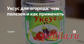Уксус для огорода: чем полезен и как применять 6 моих способов полезного использования уксуса на даче