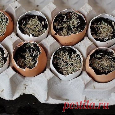 Блоги Porti.ru » Сообщество 