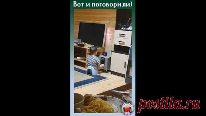 Интересно, когда Алиса перегреется от такого собеседника???
