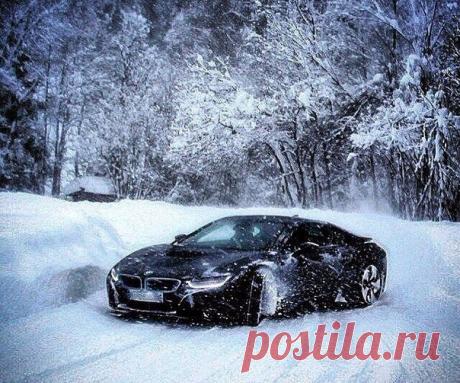 Зверь!!!💪 ❄❄❄