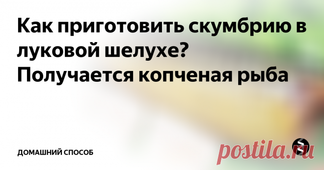 Как приготовить скумбрию в луковой шелухе? Получается копченая рыба Соленую рыбку на столе любят все. Самая распространенная — селедка, а вот самая вкусная — скумбрия. Кроме того, это совсем недорогая рыба, а если вы попробуете посолить ее сами, в домашних условиях, то такое блюдо обойдется вам значительно дешевле, чем купленная на рынке или в магазине.
Наш главный секрет будет в том, что приготовленная скумбрия очень напоминает подкопченную. Однако настоящего коп