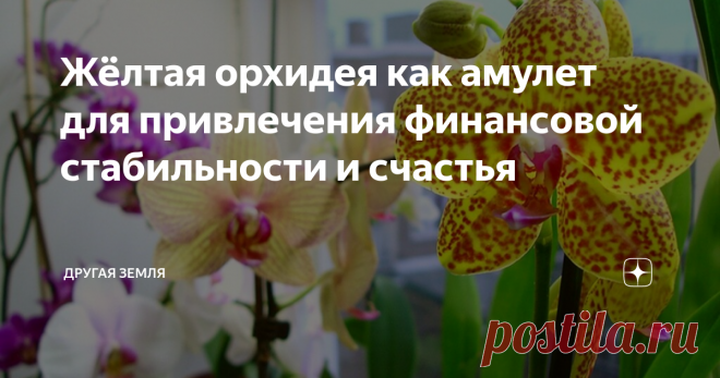 Жёлтая орхидея как амулет для привлечения финансовой стабильности и счастья Здравствуйте, уважаемы читатели, сегодня я бы хотел поговорить немного об орхидеи. Прекрасный цветок способный привлечь в дом и семейное счастье, и финансовую стабильность.
Орхидея - это один из самых востребованных комнатных цветов которые привлекают женский взгляд. И с этим растением связано огромное количество негативных примет и суеверий, которые заставляют нас выбросить этот цветок.  В