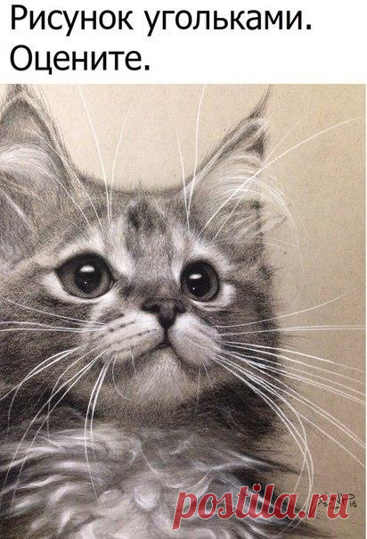 Организм и его сигналы