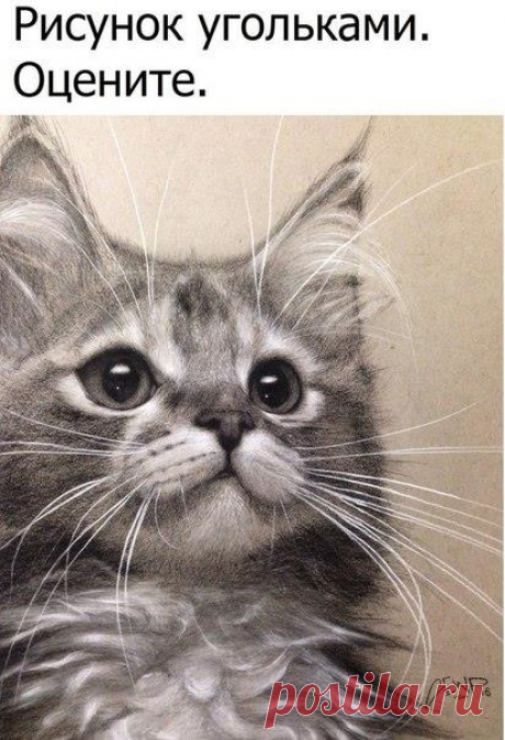 Организм и его сигналы