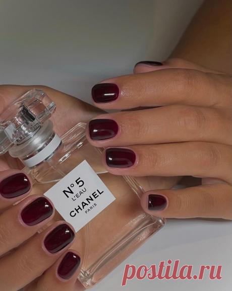 Модные оттенки маникюра осень-2024 | The Symbol | Дзен