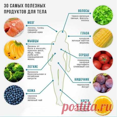 Здоровье