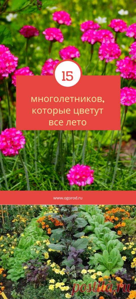 Дачные советы | Михаил Селиверстов | Фотографии и советы опытных дачников на Постиле