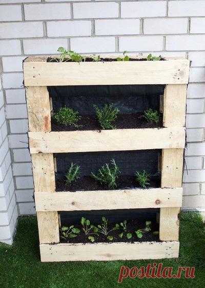 Стеллаж для рассады своими руками: как сделать полки для выращивания рассады на подоконнике или балконе