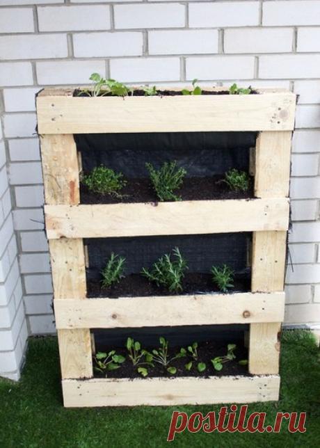 Стеллаж для рассады своими руками: как сделать полки для выращивания рассады на подоконнике или балконе