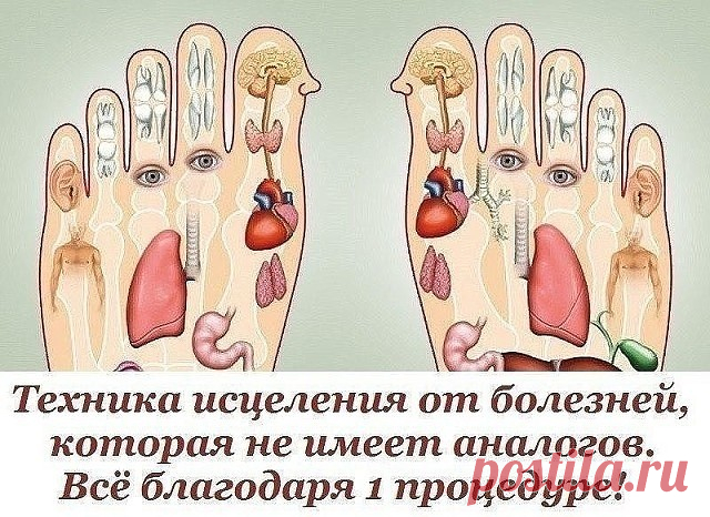 (47) Одноклассники