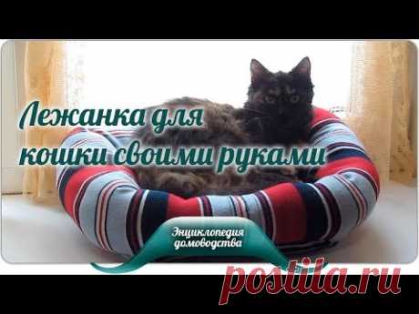 Лежанка для кошки своими руками