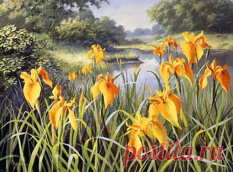 Художник Mary Dipnall. Полевые цветы... Разноцветье средь трав и росы....