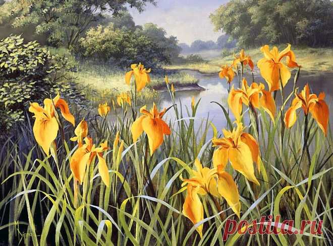 Художник Mary Dipnall. Полевые цветы... Разноцветье средь трав и росы....