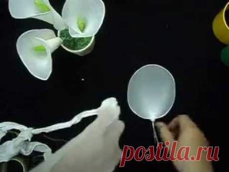 hoavoanthanhhuong