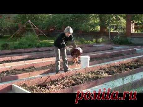 « Плодородная грядка»