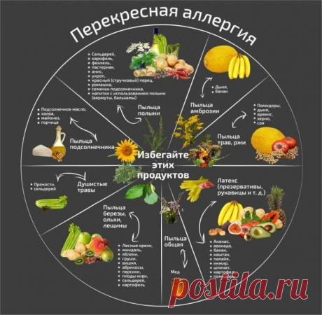 Аллергия на полынь: что нельзя есть, лечение, симптомы