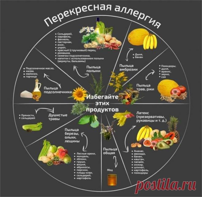Аллергия на полынь: что нельзя есть, лечение, симптомы