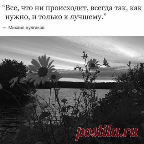 Лучшие стихи великих поэтов | Литература