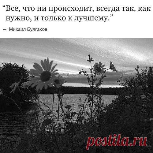 Лучшие стихи великих поэтов | Литература