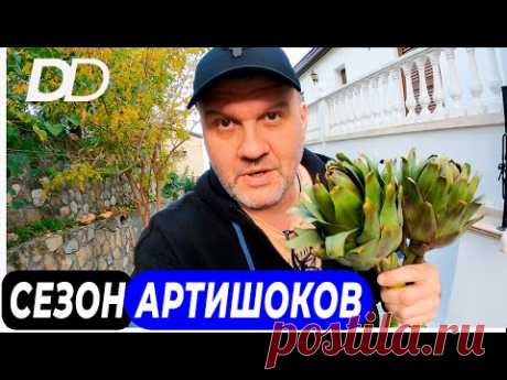 КАК ПРИГОТОВИТЬ АРТИШОК? КАК ЕДЯТ АРТИШОКИ? ФРАНЦУЗСКИЙ СПОСОБ БЕДНЯКОВ! РЕЦЕПТ СОУСА ДЛЯ АРТИШОКОВ!