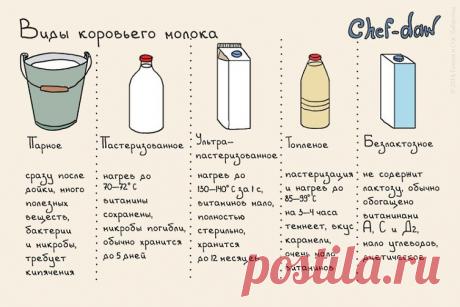 Журнал GURU: 52 удобные шпаргалки для кухни