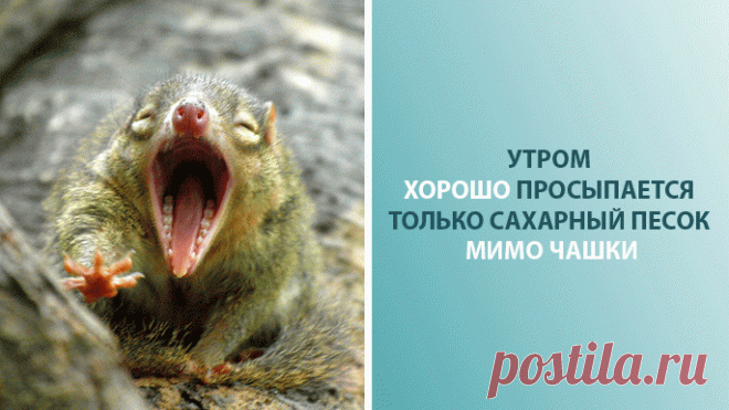 EmoSurf.com