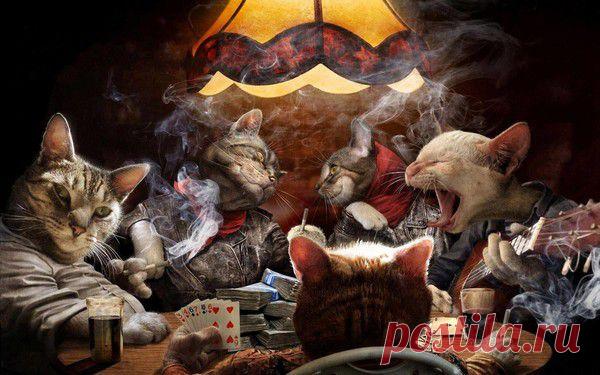 Мой Мир@Mail.Ru