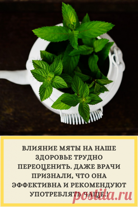 ВЛИЯНИЕ МЯТЫ НА НАШЕ ЗДОРОВЬЕ ТРУДНО ПЕРЕОЦЕНИТЬ. ДАЖЕ ВРАЧИ ПРИЗНАЛИ, ЧТО ОНА ЭФФЕКТИВНА И РЕКОМЕНДУЮТ УПОТРЕБЛЯТЬ ЧАЩЕ.!