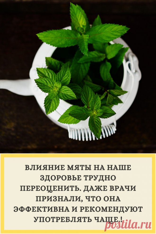 ВЛИЯНИЕ МЯТЫ НА НАШЕ ЗДОРОВЬЕ ТРУДНО ПЕРЕОЦЕНИТЬ. ДАЖЕ ВРАЧИ ПРИЗНАЛИ, ЧТО ОНА ЭФФЕКТИВНА И РЕКОМЕНДУЮТ УПОТРЕБЛЯТЬ ЧАЩЕ.!