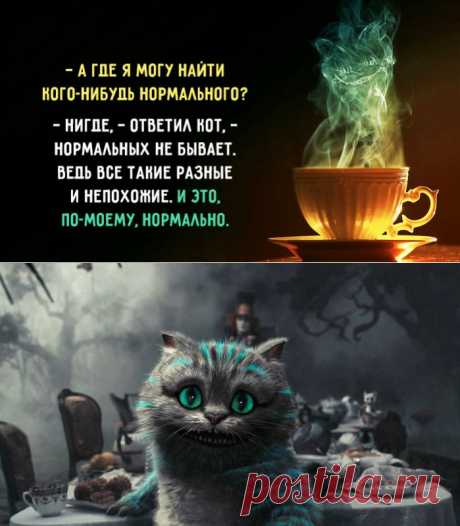 20 премудрых странностей Чеширского кота – Фитнес для мозга