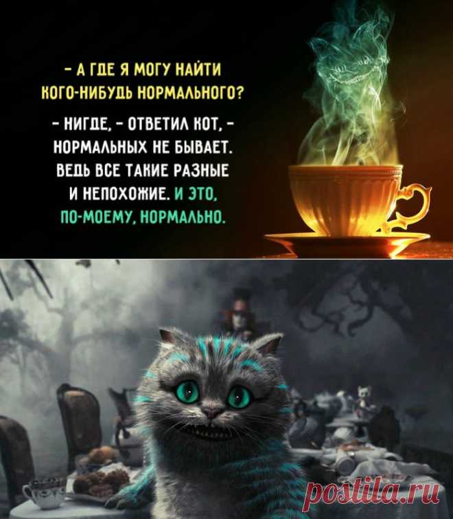 20 премудрых странностей Чеширского кота – Фитнес для мозга